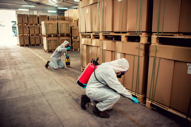 Best Wasp Removal Services  in Monongahela, PA