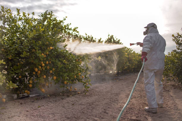 Best Pest Removal Services  in Monongahela, PA