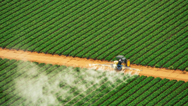 Best Mosquito Control Services  in Monongahela, PA