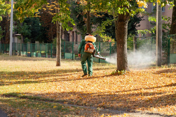 Best Exterminator Services  in Monongahela, PA