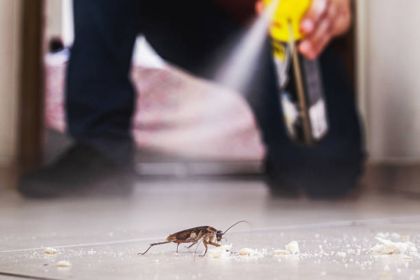Reliable Monongahela, PA Pest Control Solutions