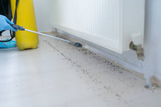 Best Local Pest Control Services  in Monongahela, PA