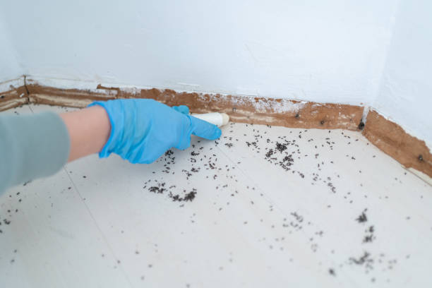 Best Rat Extermination Near Me  in Monongahela, PA