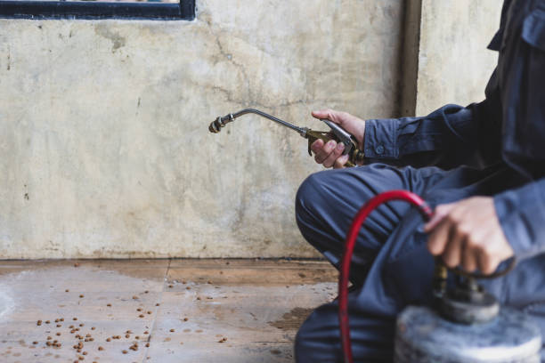 Best Flea Control Services  in Monongahela, PA